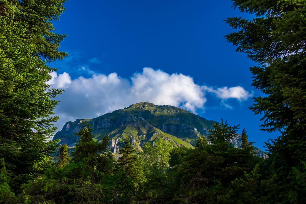 Anavasi Mountain Resort Pramanta Bagian luar foto